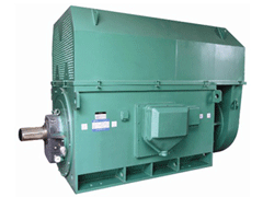 Y4506-4/710KWY系列6KV高压电机